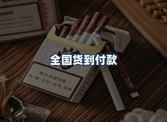 专业团队办公环境